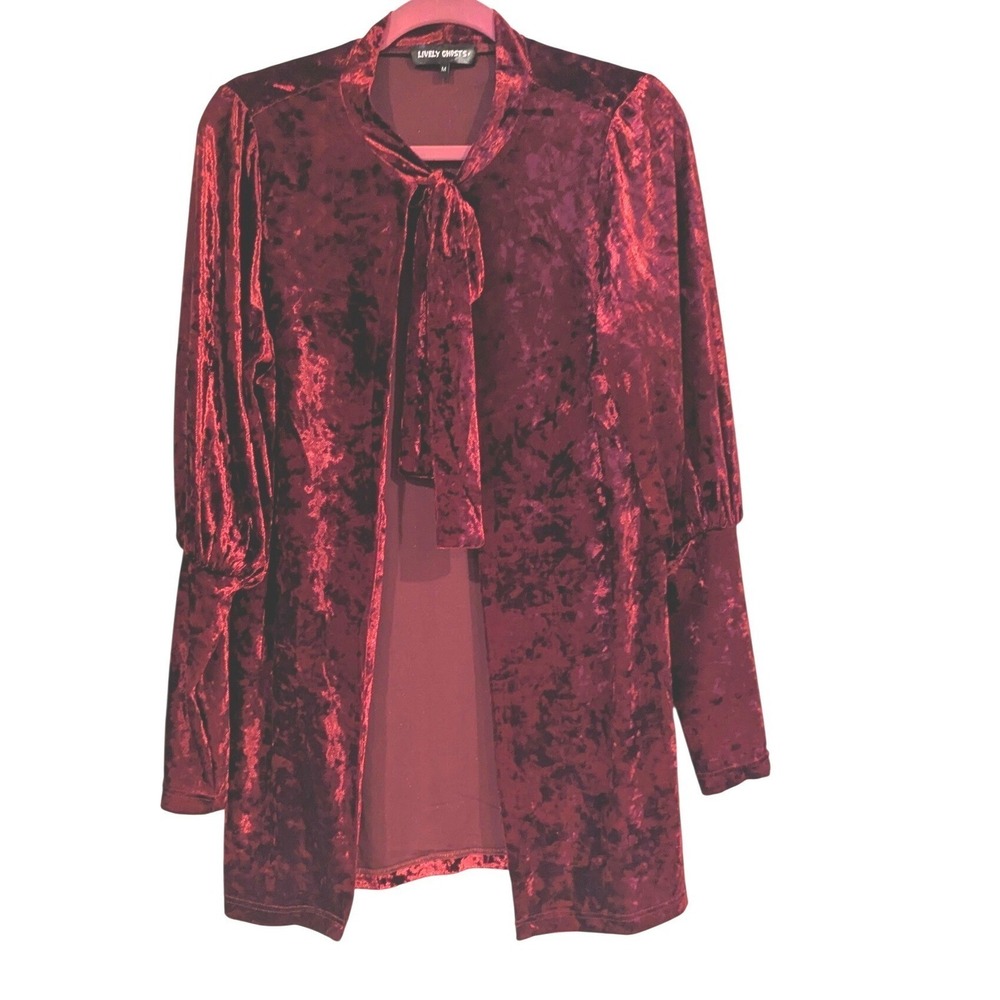 Lively Ghosts Burgundy Crushed Velvet Neck Bow‎ Puff Sleeve Cardigan Medium
